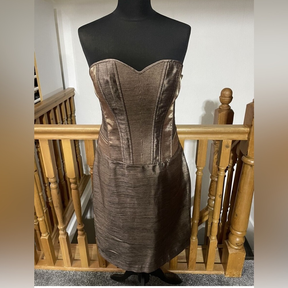Beautiful BCBGMaxAzria Bronze Dress Size 2